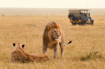 Safari a Tanzania (by Marta)