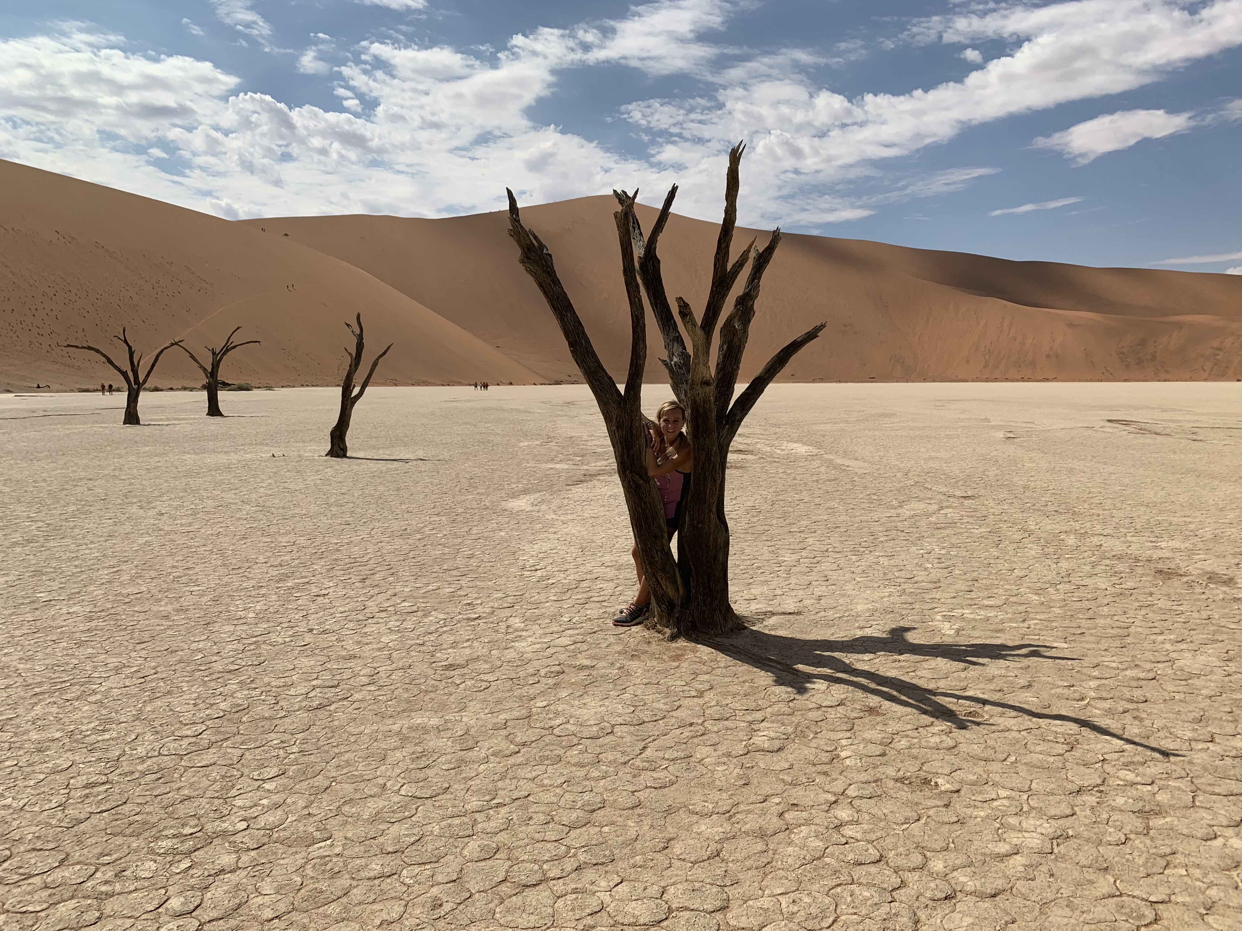 Desert Namib (by Marta)
