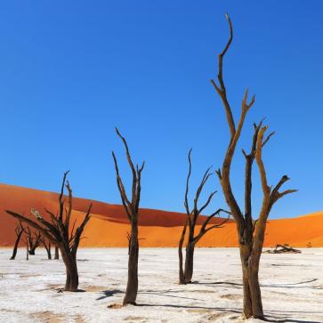 Desert Namib (by Marta)