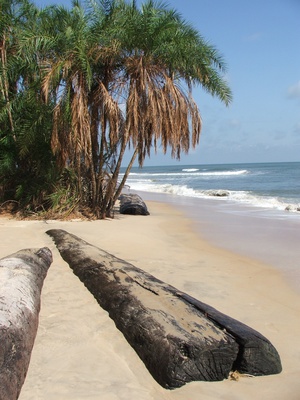 Gabon, l'Àfrica per descobrir