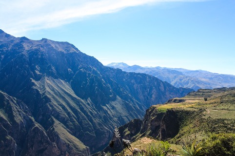 Colca